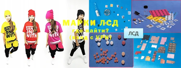 индика Алексин