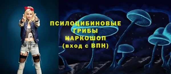 индика Алексин