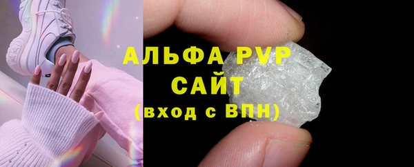 индика Алексин