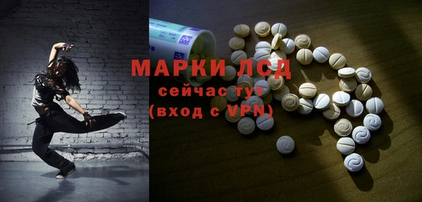 индика Алексин