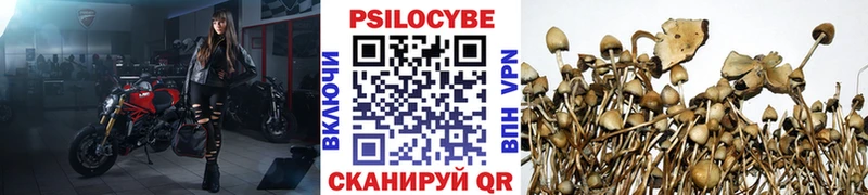 что такое наркотик  Майкоп  гидра маркетплейс  Псилоцибиновые грибы GOLDEN TEACHER 