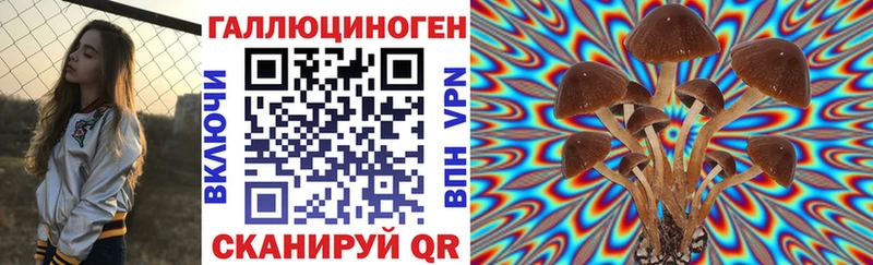 Псилоцибиновые грибы Psilocybe Майкоп
