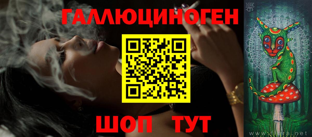 Псилоцибиновые грибы Psilocybe Майкоп